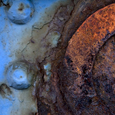 photo detail by Brian King