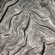 photo detail by Brian King