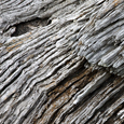 photo detail by Brian King