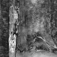 photo detail by Brian King