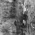 photo detail by Brian King