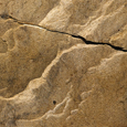 photo detail by Brian King
