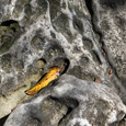photo detail by Brian King