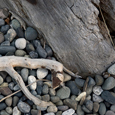photo detail by Brian King