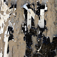 photo detail by Brian King