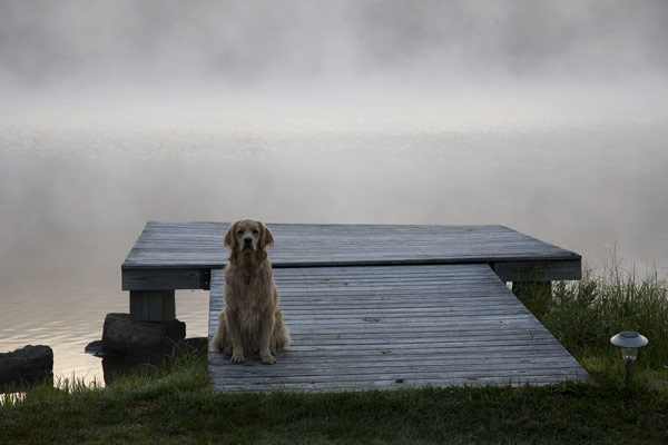 Photograph by Brian King