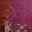 photo detail by Brian King