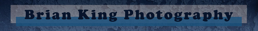 Brian King Photography website banner